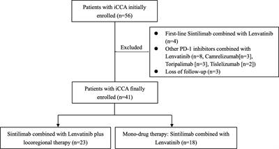 Sintilimab Combined with Lenvatinib for Advanced Intrahepatic Cholangiocarcinoma in Second-Line Setting—A Multi-Center Observational Study